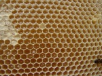 lots of honey!